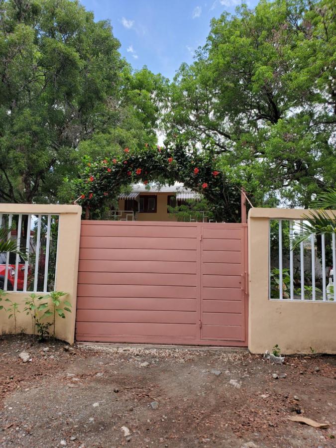 Casita De Las Flores Сан-Хосе-де-Окоа Экстерьер фото